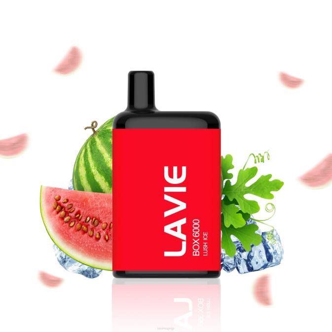 豊かな氷 LAVIE BOX 6000パフ 260P199 | Lavie Japan